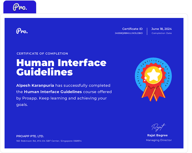 Human Interface Guidelines